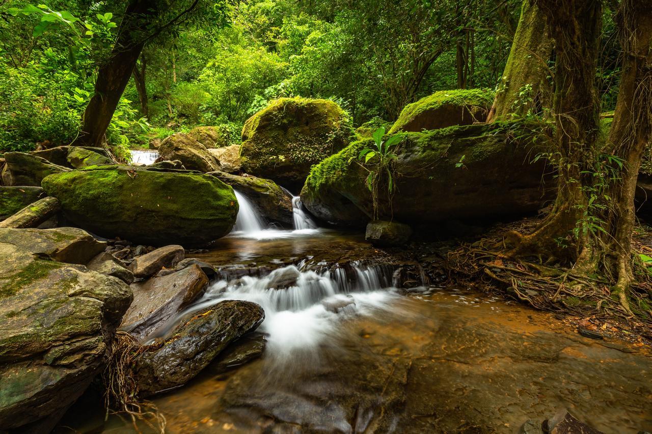 Вілла Cascada Elysiana Platanillo Екстер'єр фото